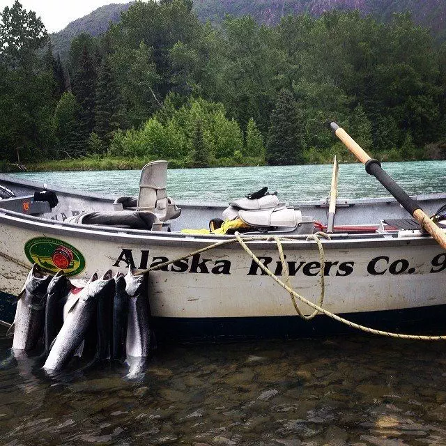 Alaska Rivers Company Guided Fishing Kenai River