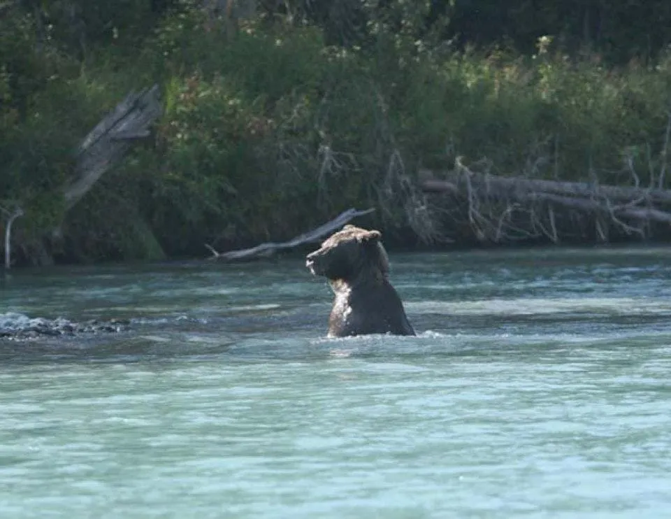 Expert Fisherman Alaska Rivers Company